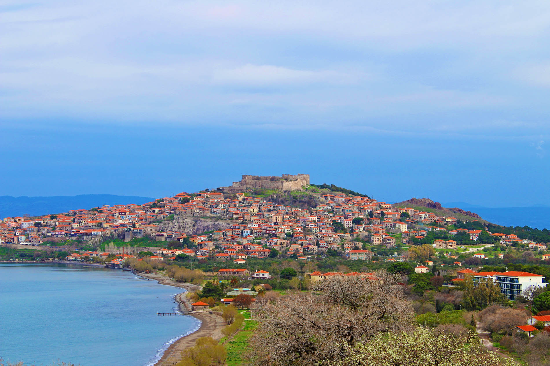 Villa Annie - Molivos